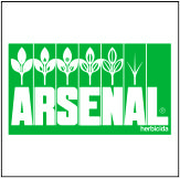 ARSENAL NA - BASF