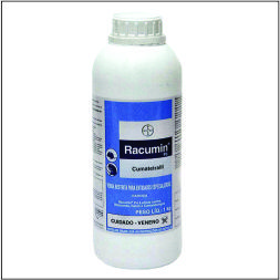 RACUMIN P